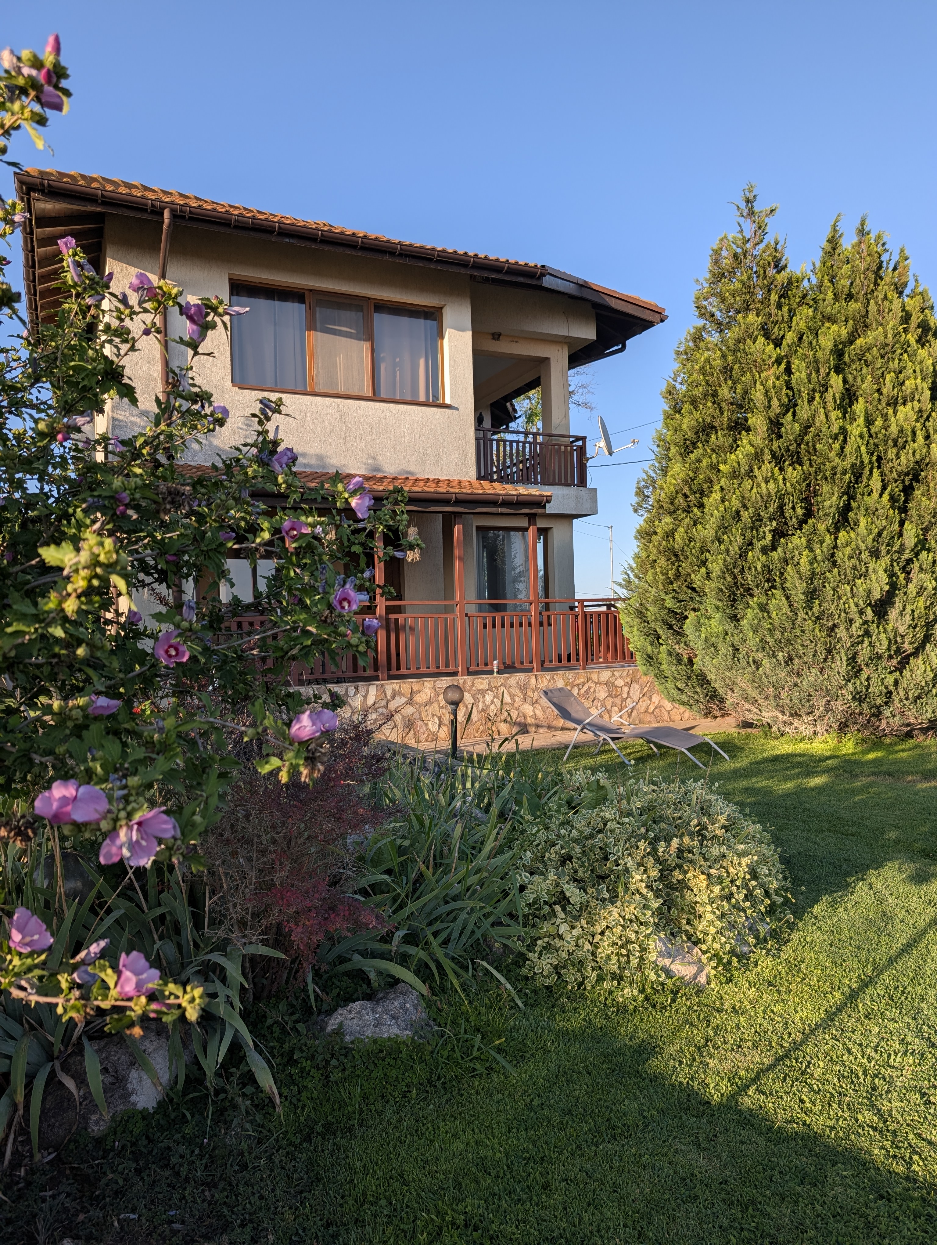 Looking into the lawn