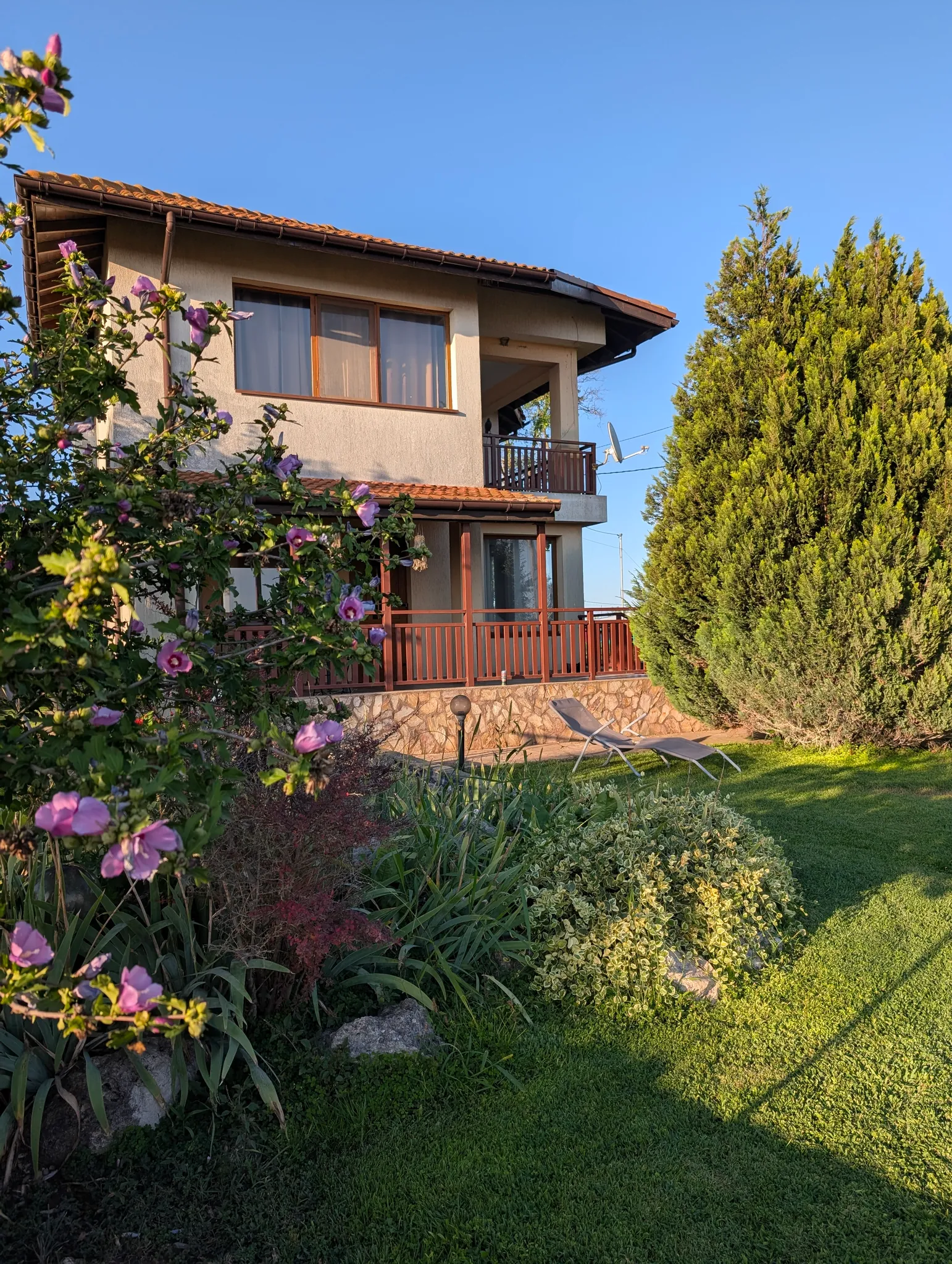 Looking into the lawn